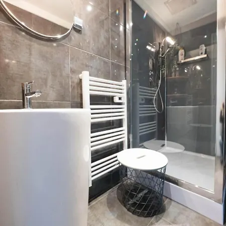 アパート De Charme - Videoprojecteur Et Spa En Centre *